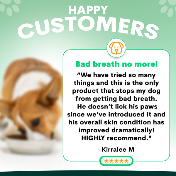 Probiotics for Dogs