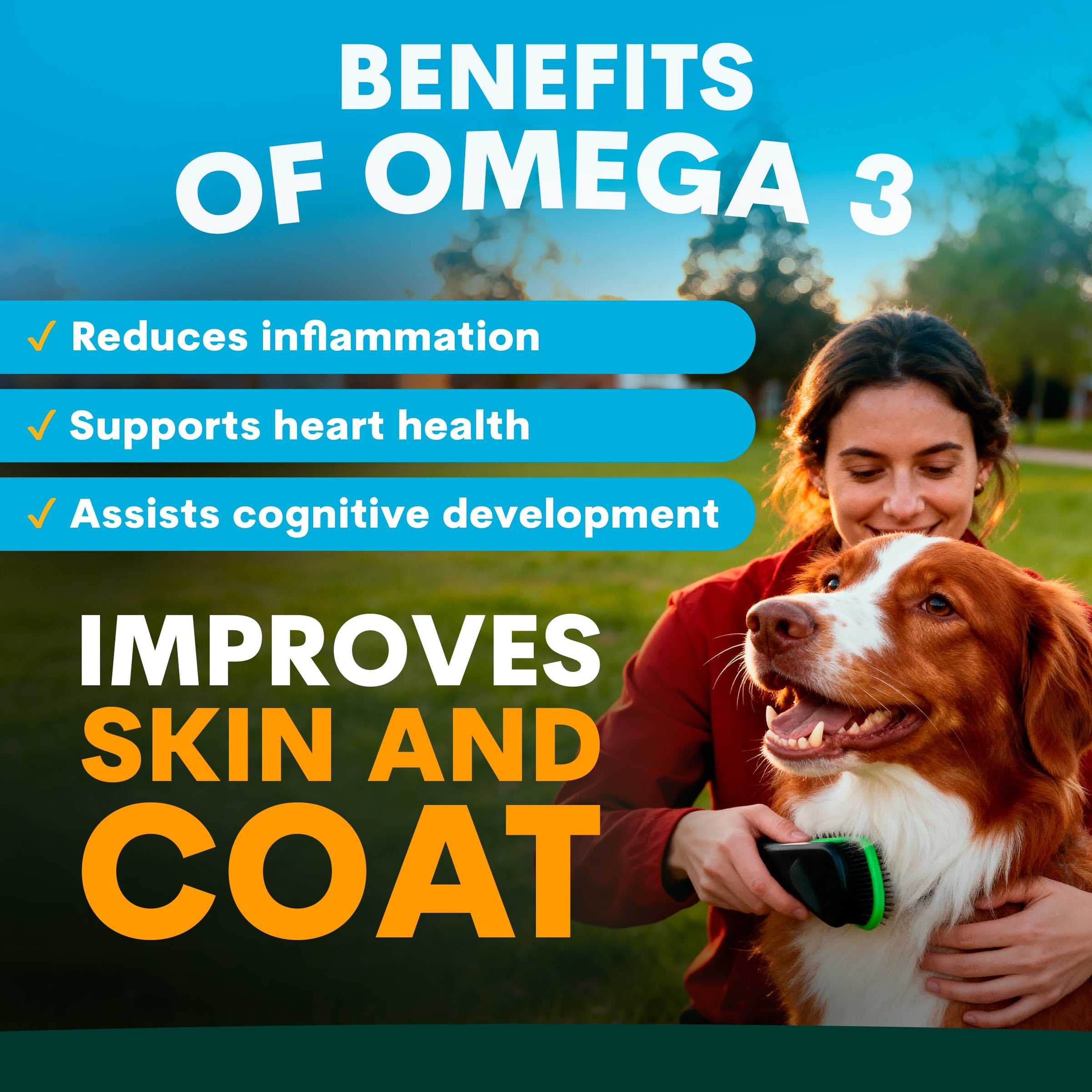 Skin & Coat Supplement for Dogs | Vet-Formulated | Petz Park