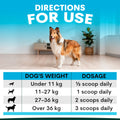 Dog standing in a room with a dosing chart for dogs on a blue background. Dosage table for skin supplement