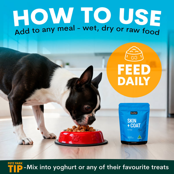 Dog eating from a bowl with a package of pet food on a kitchen floor, promoting feeding daily. How to use Petz Park skin and coat