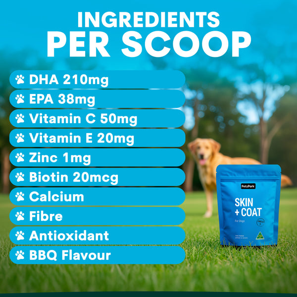 A blue bag of Skin + Coat for Dogs supplement, perfect for providing omega-3 to dogs, sits on the grass with a dog in the background; the image displays a list of ingredients and amounts per scoop.