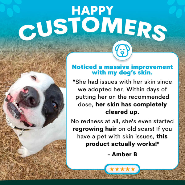 Dog with happy customers text and testimonial on a grass background, petz park skin and coat supplement reviews
