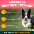 Dog running outdoors with benefits of a total health package text and icons.