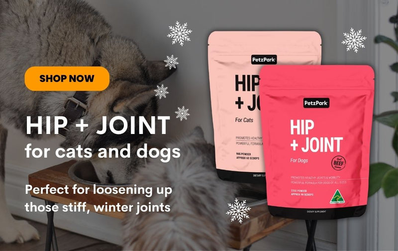 Best Dog Supplements Australia Cat supplements Petz Park