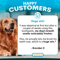 Dog with testimonial about toothpaste on a blue background