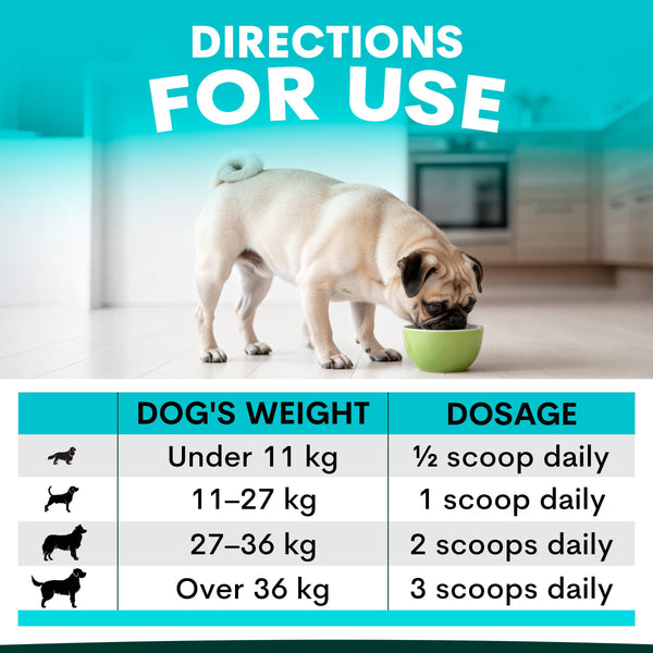 Dog eating from a bowl with dosing chart for different dog weights on a blue background