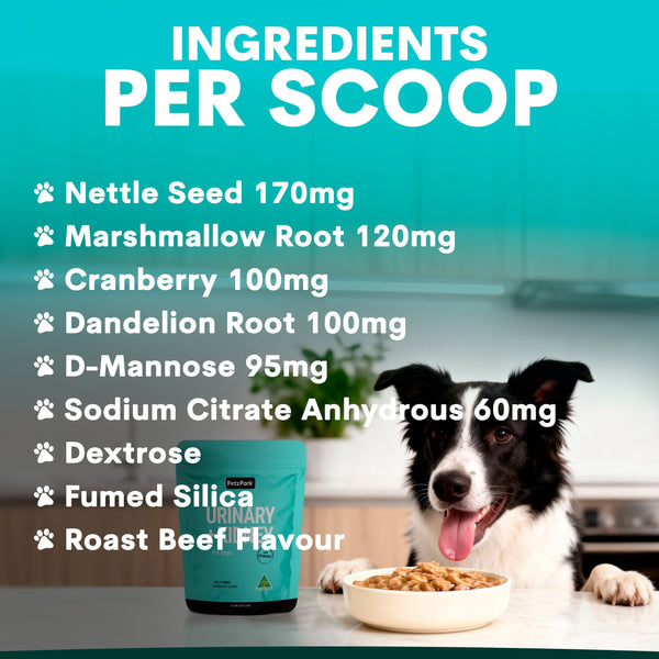 Dog eating from a bowl with a list of ingredients per scoop on a teal background
