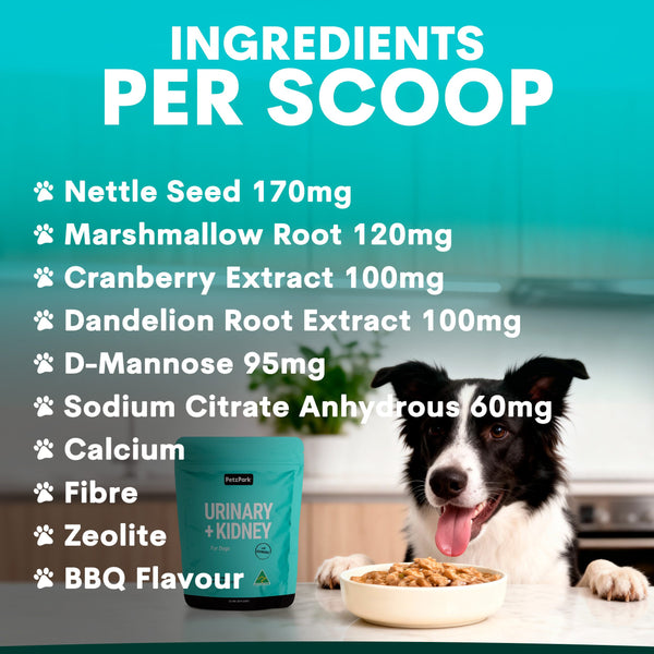 Dog eating from a bowl with a list of ingredients per scoop on a teal background