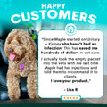 Dog with a testimonial about a pet health product on a blue background