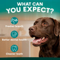 Dog with text 'What can you expect?' and icons for fresher breath, better dental health, and cleaner teeth.