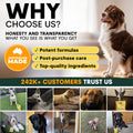 Brain Support for Dogs