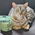 cat breeds, is probiotic good for cats?, natural probiotic for cats