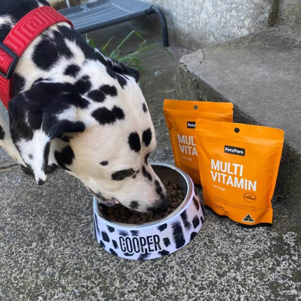 dalmatian, multivitamin supplement for dogs, dog multivitamin