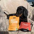 dachshund dog breed, vitamins for dogs, vitamin powder for puppies, supplement to help with dog growth