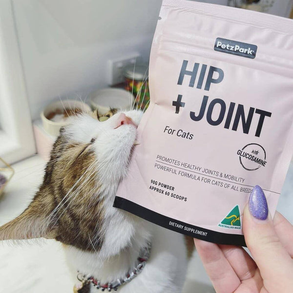 cat with arthritis, cat arthritis, cat joint pain, cat joint supplements
