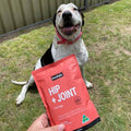joint supplement for any dog breed, puppy joint supplements, arthritis in older dogs