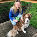 border collie with probiotic, natural dog probiotic, natural probiotic for dogs