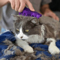 cat brushing, cat grooming, how to brush cat's hair, cat fur, cat shedding