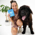skin and coat supplement for dogs, giant dog breeds, newfoundland dog, allergies in dogs
