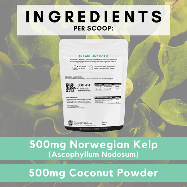 what are the ingredients for dental kelp, how does norwegian kelp work