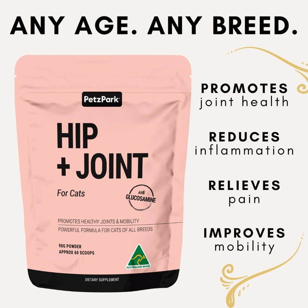 what do joint supplements do for cats, joint supplement for cats, cat arthritis