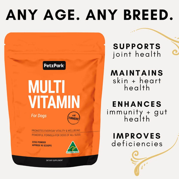 The benefits of multivitamin for dogs. Supports deficiencies, promotes overall well-being, boosts vitality, improves everyday life