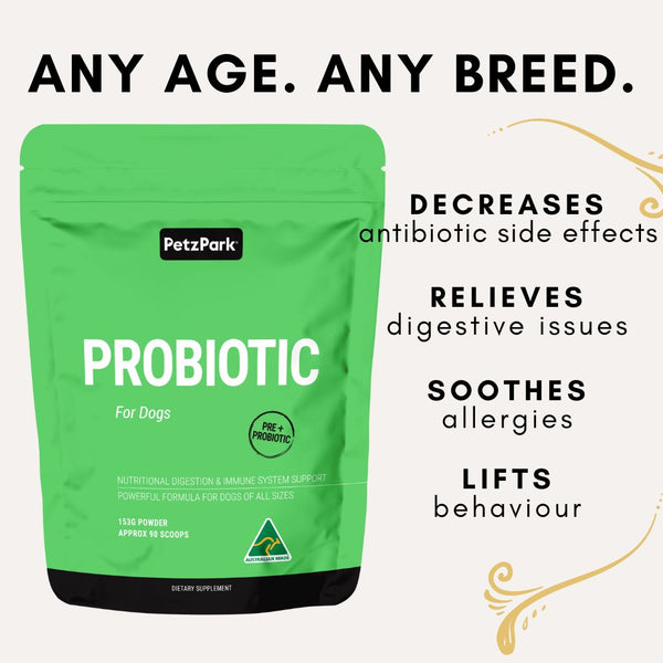 Benefits of probiotic for dogs, best probiotic for dogs australia