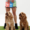 complete health care range, supplements for dogs, cavoodle