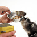mini schnauzer eating cognitive support dogs supplement, dog supplements australia