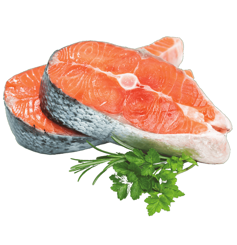 salmon for cats, salmon treat for cats, salmon treat