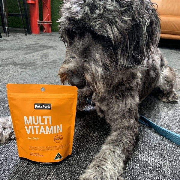 keep your dog healthy with the Multivitamin for dogs, border collie, poodle, bordoodle dog