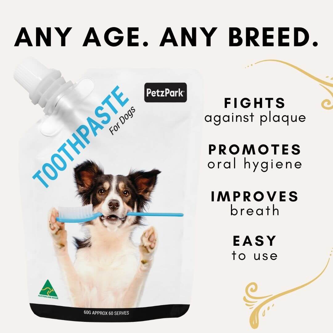 Dog toothpaste shop vs human