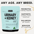 benefits of uti supplement, kidney disease in cats, kidney supplement for cats, cat kidney failure