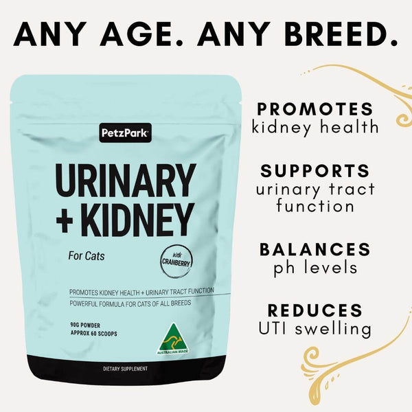 urinary care for cats, what does urinary and kidney supplement do for cats, uti cat, cats with uti, cats with kidney disease