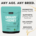 benefits of urinary and kidney supplements for dogs, urinary tract health, kidney health in dogs